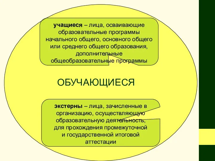 учащиеся – лица, осваивающие образовательные программы начального общего, основного общего