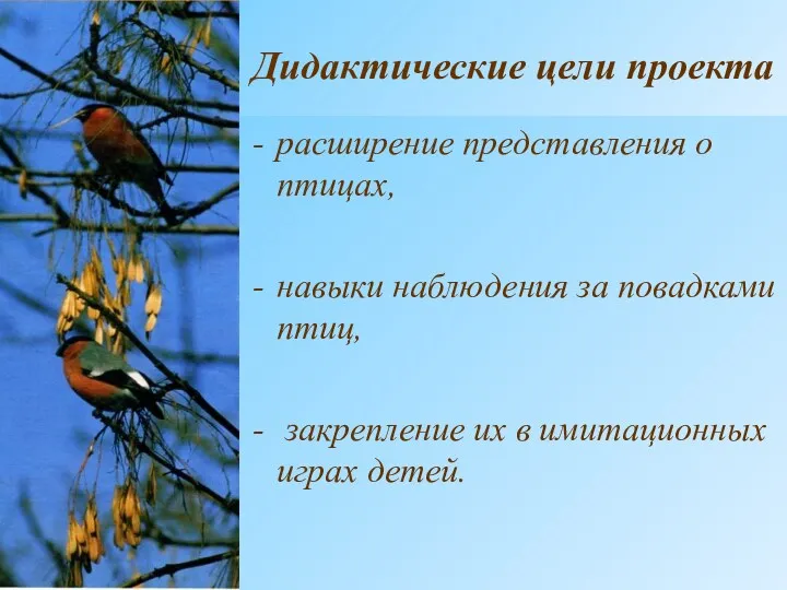 Дидактические цели проекта расширение представления о птицах, навыки наблюдения за