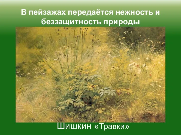 В пейзажах передаётся нежность и беззащитность природы Шишкин «Травки»