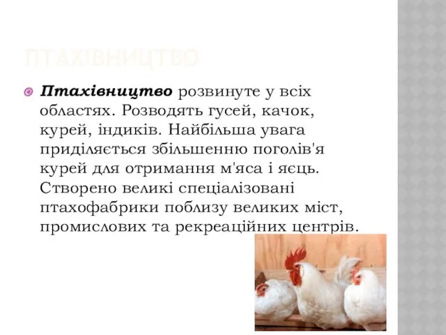 ПТАХІВНИЦТВО Птахівництво розвинуте у всіх областях. Розводять гусей, качок, курей,