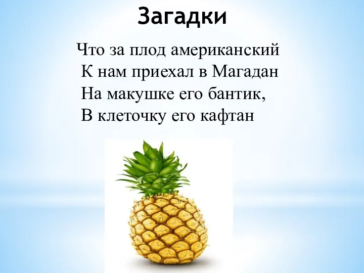 Загадки Что за плод американский К нам приехал в Магадан На макушке его