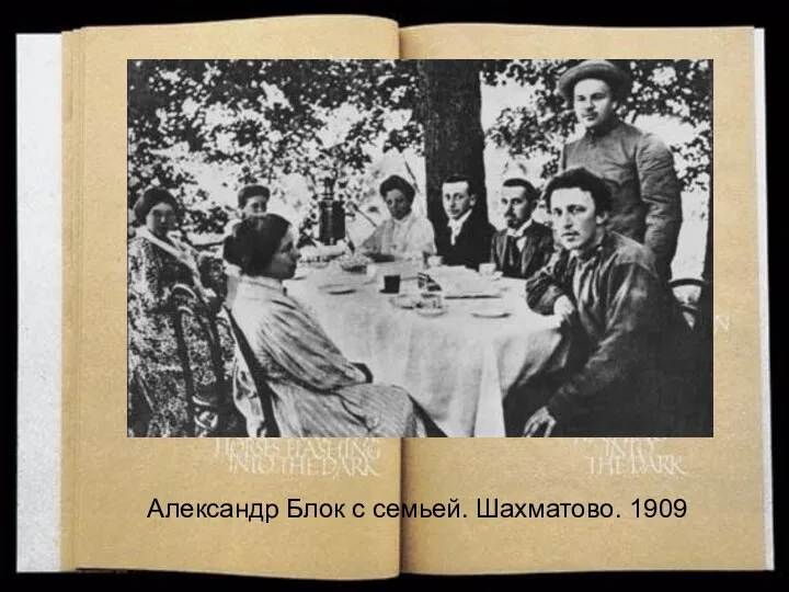 Александр Блок с семьей. Шахматово. 1909