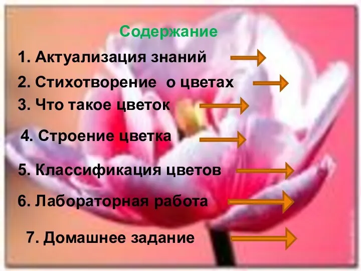 Содержание 1. Актуализация знаний 2. Стихотворение о цветах 3. Что