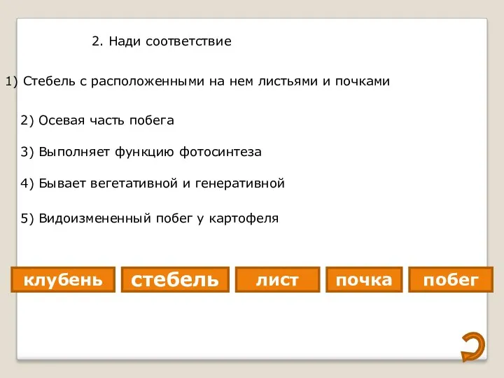 2. Нади соответствие 1) Стебель с расположенными на нем листьями