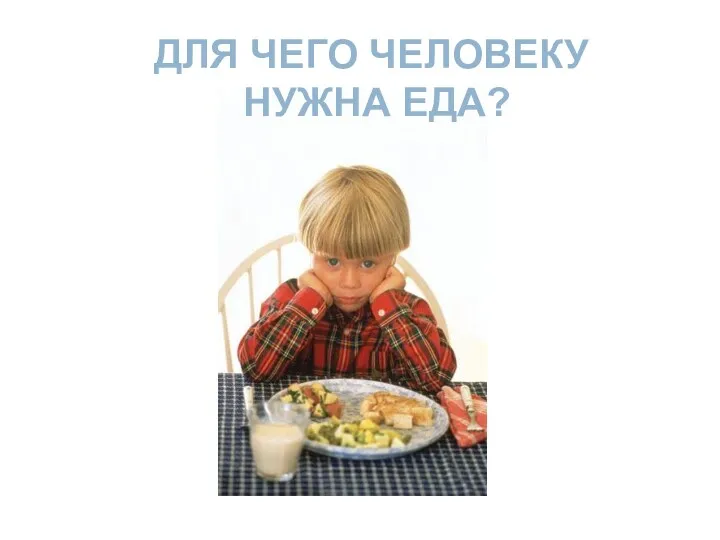 ДЛЯ ЧЕГО ЧЕЛОВЕКУ НУЖНА ЕДА?