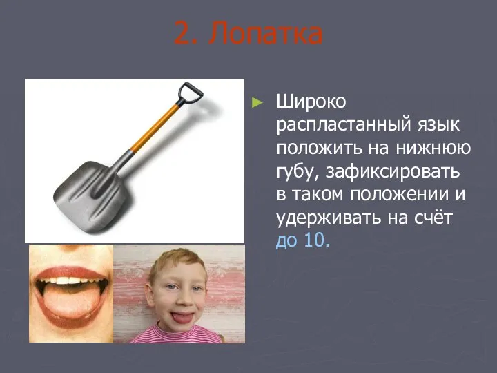 2. Лопатка Широко распластанный язык положить на нижнюю губу, зафиксировать
