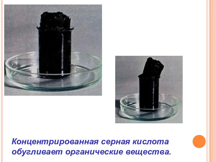 Концентрированная серная кислота обугливает органические вещества.