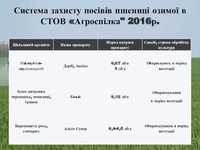 Система захисту посівів пшениці озимої в СТОВ «Агроспілка" 2016р.