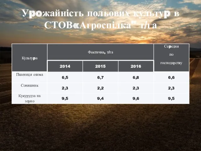 Уpoжайність польових культуp в СТОВ«Агроспілка" т/га