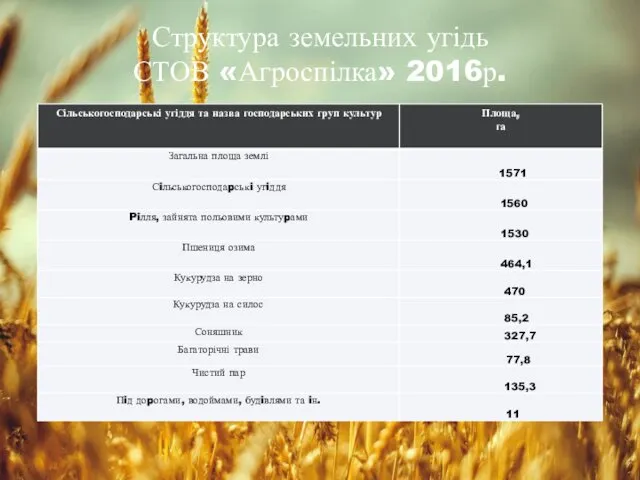 Структура земельних угідь СТОВ «Агроспілка» 2016р.