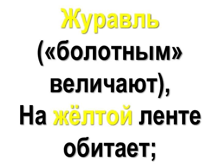 Журавль («болотным» величают), На жёлтой ленте обитает; Журавль («болотным» величают), На жёлтой ленте обитает;