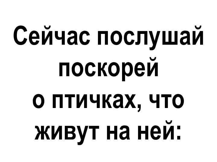 Сейчас послушай поскорей о птичках, что живут на ней: Сейчас послушай поскорей о