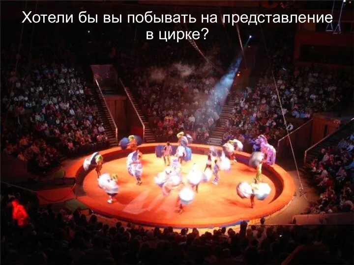 Хотели бы вы побывать на представление в цирке?