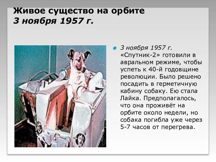 Живое существо на орбите 3 ноября 1957 г. 3 ноября 1957 г. «Спутник-2»