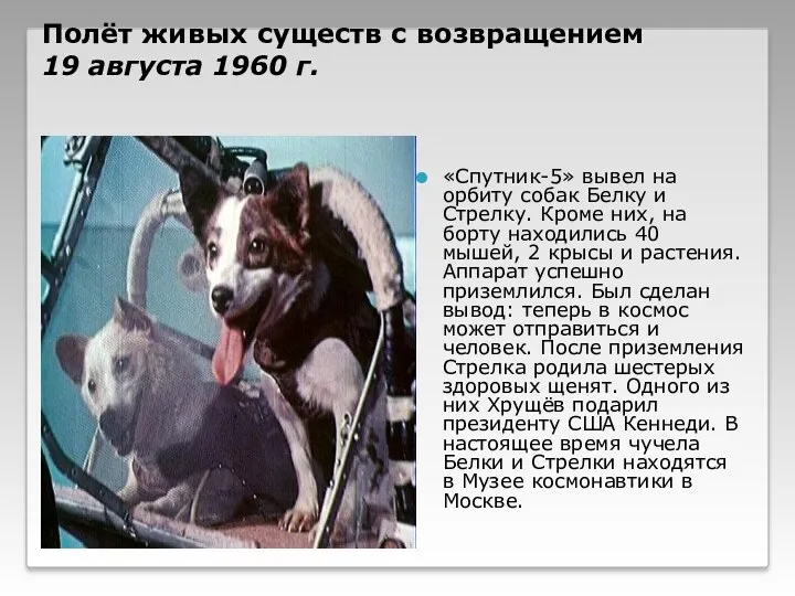 Полёт живых существ с возвращением 19 августа 1960 г. «Спутник-5» вывел на орбиту