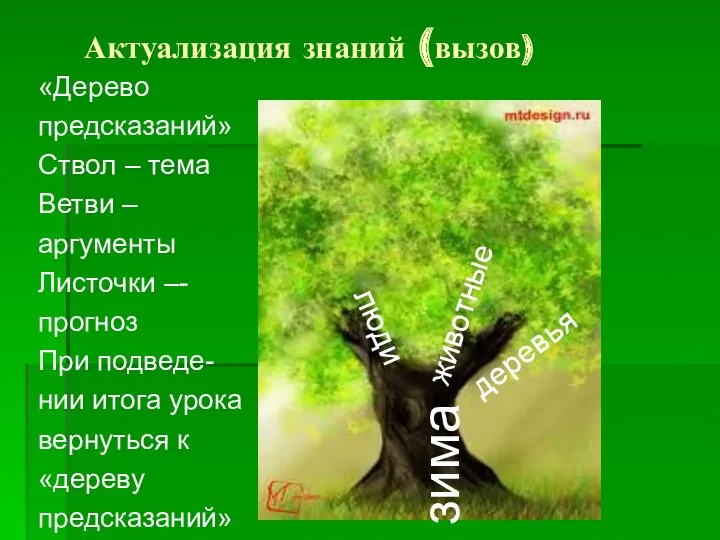 Актуализация знаний (вызов) «Дерево предсказаний» Ствол – тема Ветви –