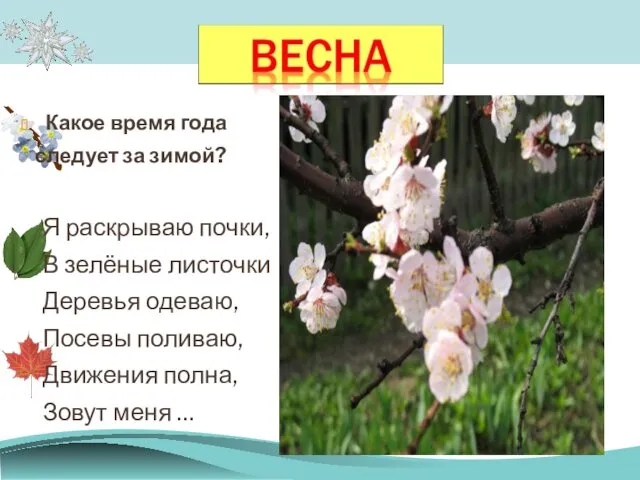 Какое время года следует за зимой? Я раскрываю почки, В