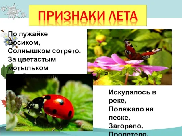 По лужайке Босиком, Солнышком согрето, За цветастым мотыльком Прибежало лето.