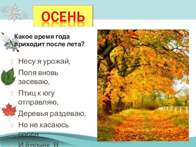 Несу я урожай, Поля вновь засеваю, Птиц к югу отправляю,