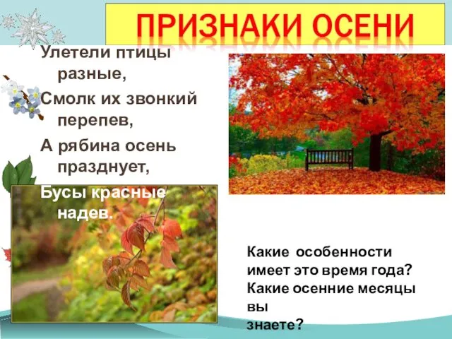 Какие особенности имеет это время года? Какие осенние месяцы вы