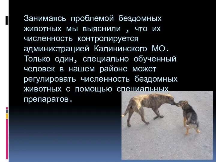 Занимаясь проблемой бездомных животных мы выяснили , что их численность контролируется администрацией Калининского
