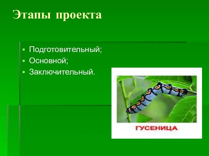 Этапы проекта Подготовительный; Основной; Заключительный.