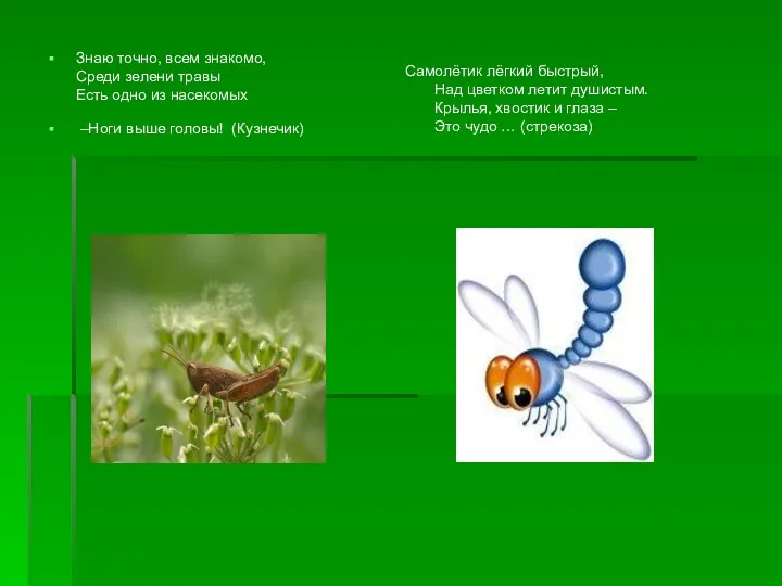 Знаю точно, всем знакомо, Среди зелени травы Есть одно из насекомых –Ноги выше