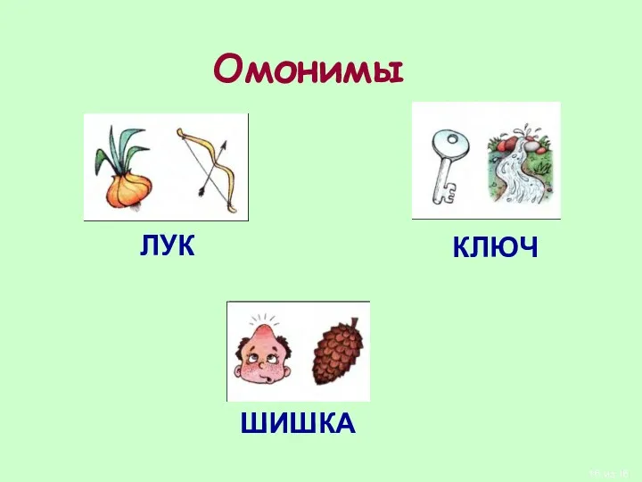 Омонимы КЛЮЧ ЛУК ШИШКА