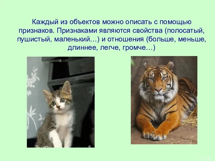 Каждый из объектов можно описать с помощью признаков. Признаками являются