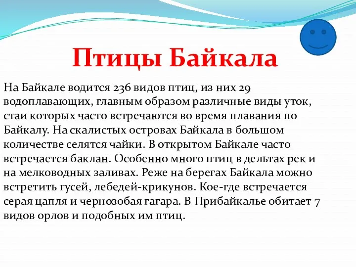 На Байкале водится 236 видов птиц, из них 29 водоплавающих,