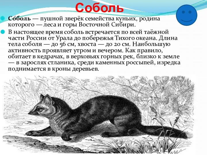 Соболь Со́боль — пушной зверёк семейства куньих, родина которого —