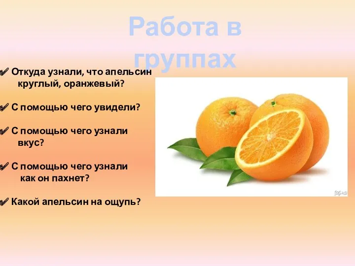 Работа в группах Откуда узнали, что апельсин круглый, оранжевый? С