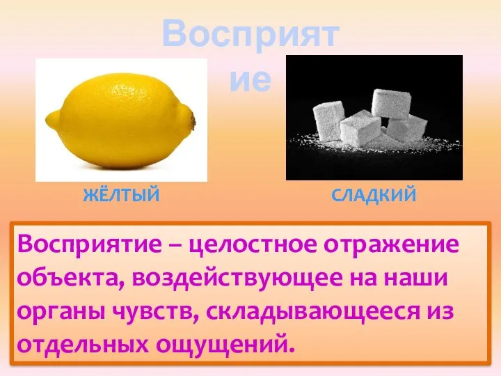 Восприятие Восприятие – целостное отражение объекта, воздействующее на наши органы