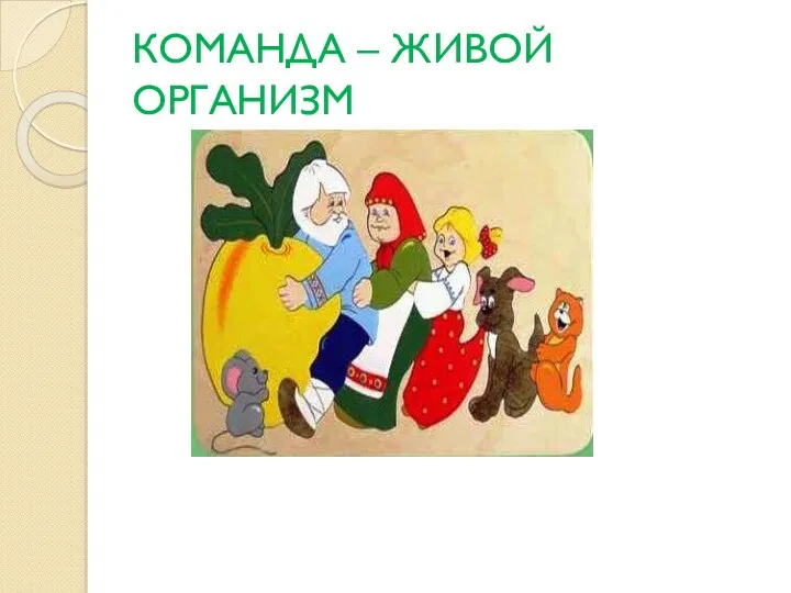 КОМАНДА – ЖИВОЙ ОРГАНИЗМ