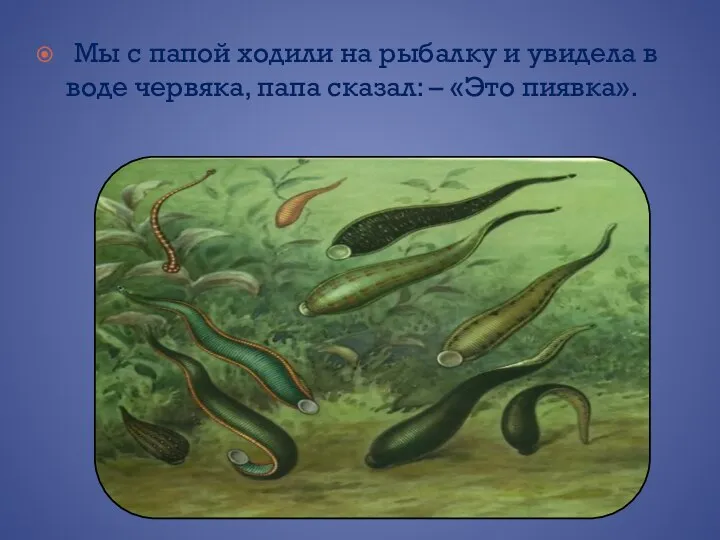 Мы с папой ходили на рыбалку и увидела в воде червяка, папа сказал: – «Это пиявка».