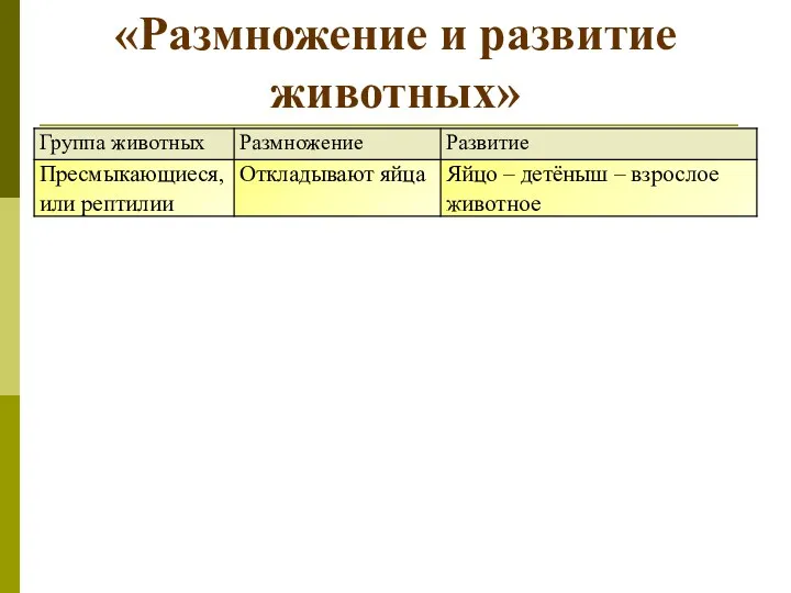 «Размножение и развитие животных»