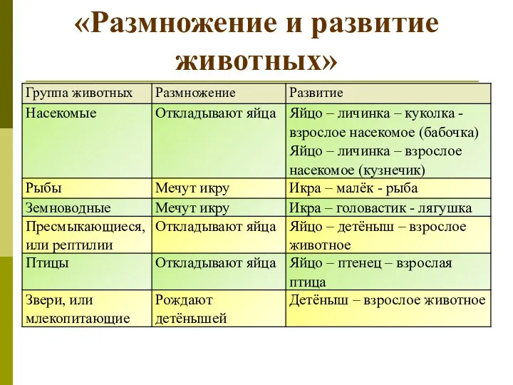 «Размножение и развитие животных»