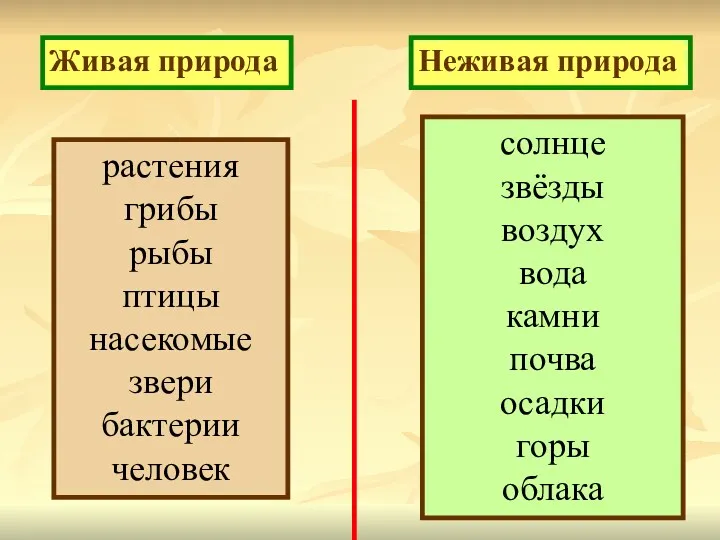 Живая природа Неживая природа солнце звёзды воздух вода камни почва осадки горы облака