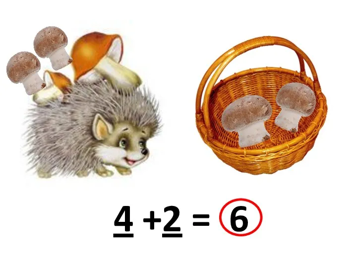 4 +2 = 6