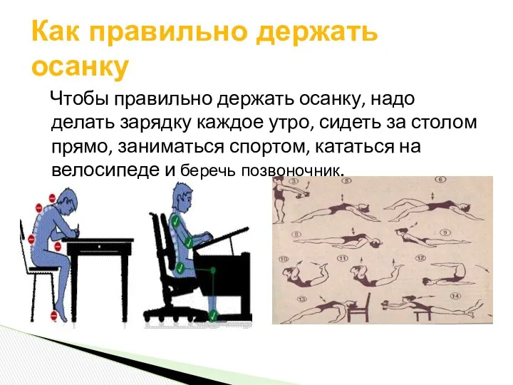 Чтобы правильно держать осанку, надо делать зарядку каждое утро, сидеть