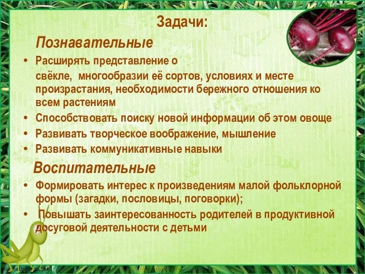 Задачи: Познавательные Расширять представление о свёкле, многообразии её сортов, условиях