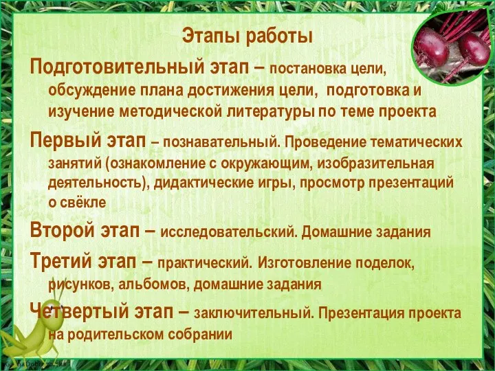 Этапы работы Подготовительный этап – постановка цели, обсуждение плана достижения