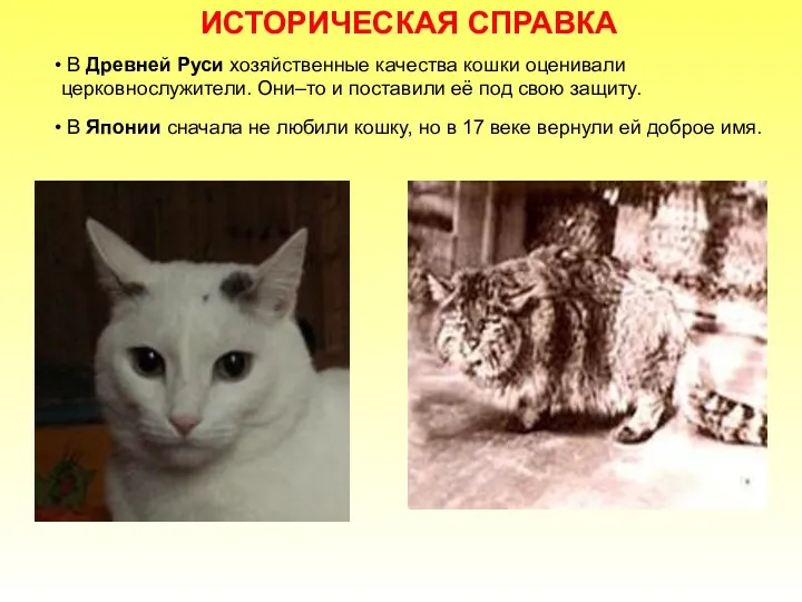 ИСТОРИЧЕСКАЯ СПРАВКА В Древней Руси хозяйственные качества кошки оценивали церковнослужители. Они–то и поставили