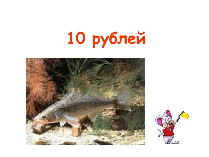 10 рублей