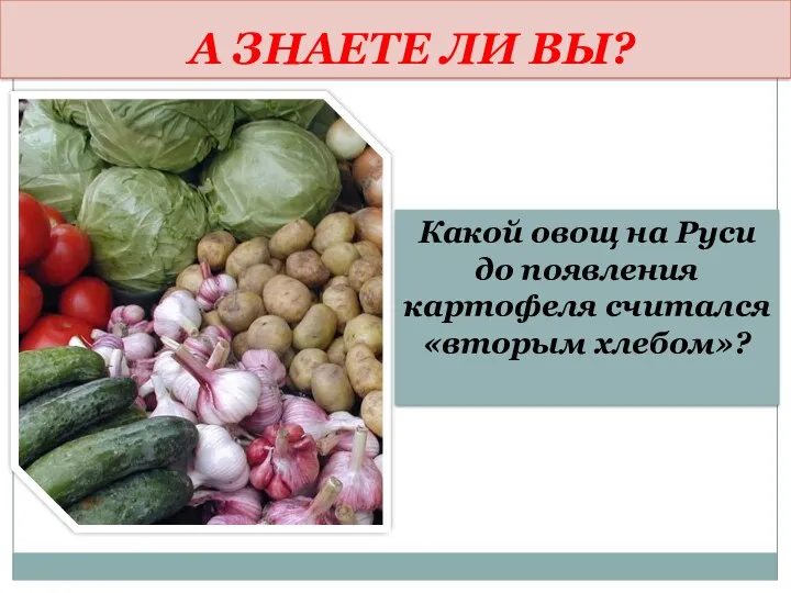 А ЗНАЕТЕ ЛИ ВЫ? Какой овощ на Руси до появления картофеля считался «вторым хлебом»?
