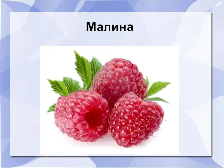 Малина