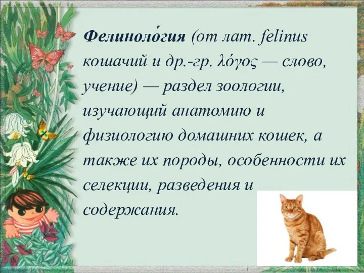 Фелиноло́гия (от лат. felinus кошачий и др.-гр. λόγος — слово,