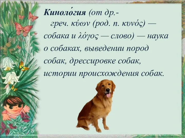Киноло́гия (от др.-греч. κύων (род. п. κυνός) — собака и