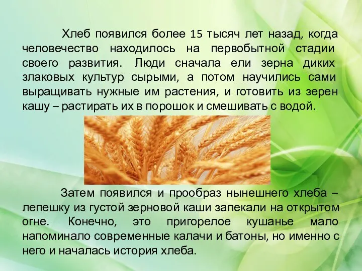 Хлеб появился более 15 тысяч лет назад, когда человечество находилось