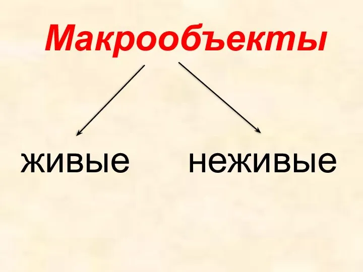 Макрообъекты живые неживые